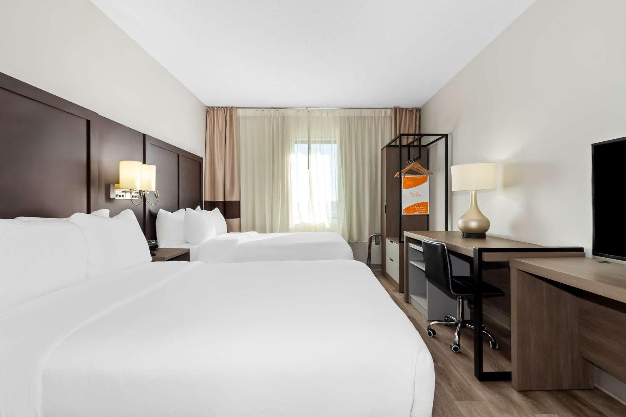 Comfort Suites Лъмбъртън Екстериор снимка